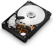 005049225 Жесткий диск EMC 2TB 7.2K 3.5in 6G SAS HDD for VNXe  Shipping