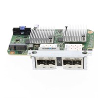 110-00555 Сетевая карта NetApp 16gb FC Mezzanine Card 110-00555